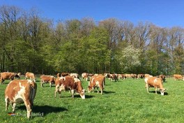 Boerderij belevenissen in Duitsland