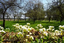 Landschap Zuid Duitsland