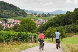 Fietsen in Rijnland Palts