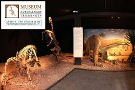Museum Auberlehaus