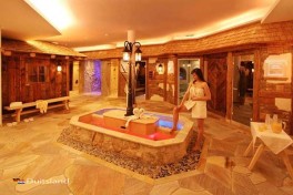 Spa en Wellness Hotel Restaurant Alpenhof