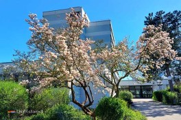 Doorreishotel in Ludwigshafen – ideaal op weg door Duitsland