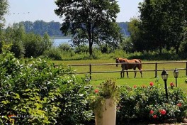 Paardrijden bij Hotel in Duitsland