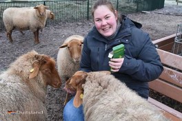 Dieren voeden in de dierentuin