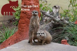 Dierentuin Kleve