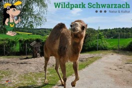 Dierentuin Wildpark Schwarzach