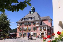 Lenzkirch Zwarte Woud Duitsland