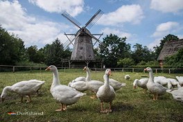 Openluchtmuseum in Noord-Duitsland