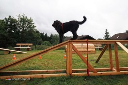 Vakantie met de hond in de Harz Duitsland